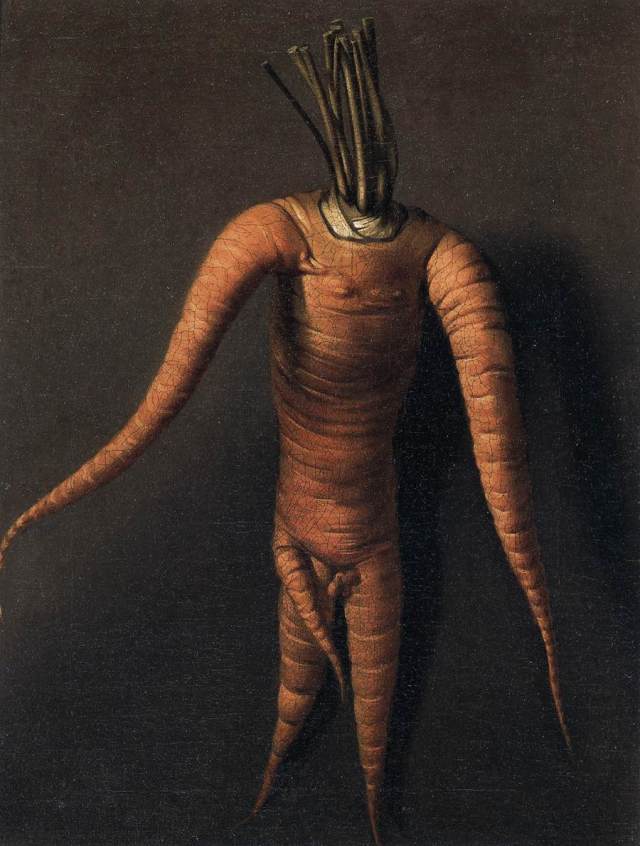 Willem van Royen (1645 - 1723) – The Carrot